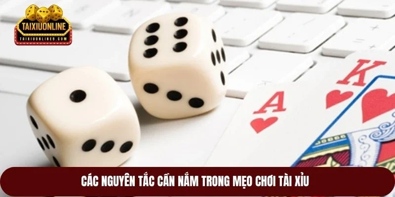 Các nguyên tắc cần nắm trong mẹo chơi tài xỉu