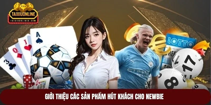Giới thiệu các sản phẩm hút khách cho newbie